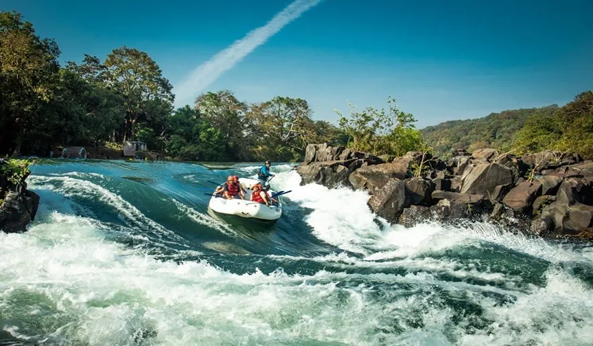 Jungle Homestay Tent Dandeli