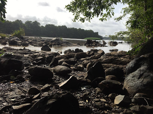 Home 249 media thumbnail 0