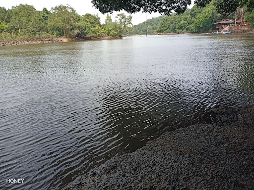 Home 251 media thumbnail 2