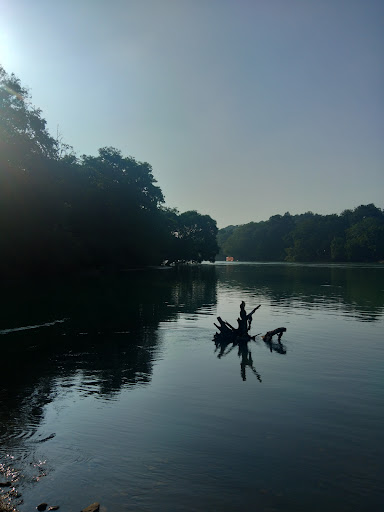 Home 119 media thumbnail 1