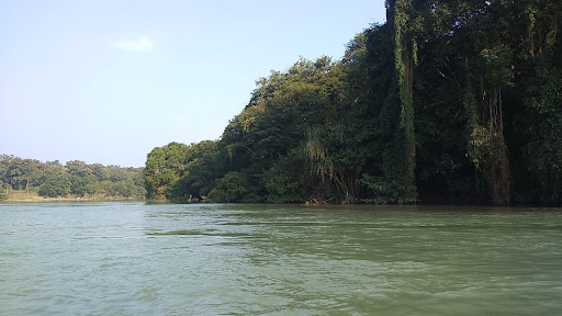 Home 122 media thumbnail 4