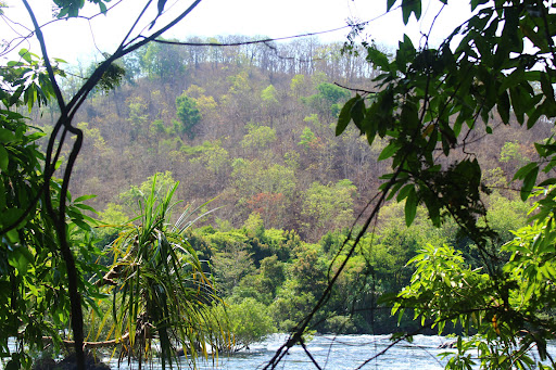 Home 50 media thumbnail 0