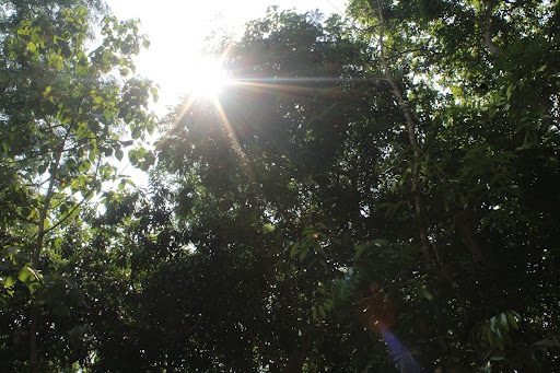 Home 51 media thumbnail 1