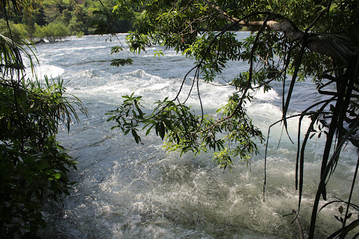 Home 53 media thumbnail 3