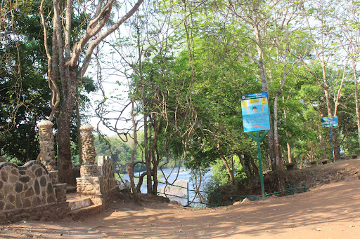 Home 55 media thumbnail 5